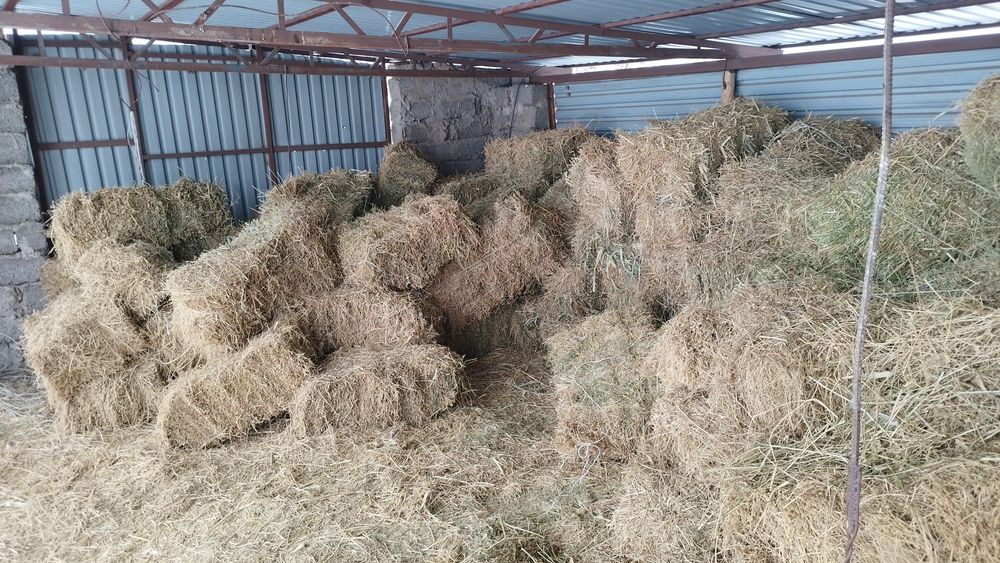 Жоңышқа прес сатылады