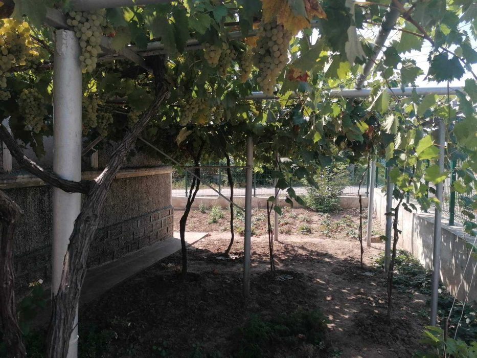 Продава се Къща в с. Полковник Иваново, Област Добрич - 80 кв.м за 438 €/кв.м - Снимка #6