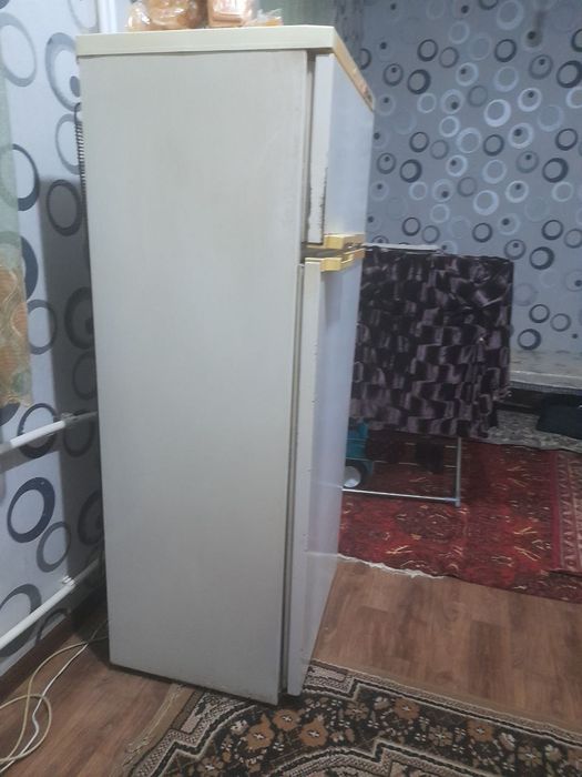 Xaladelnik rosiyskiy