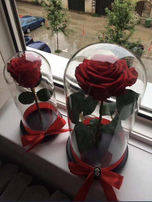 Trandafir criogenat conservat rosu 17 20 25 cm