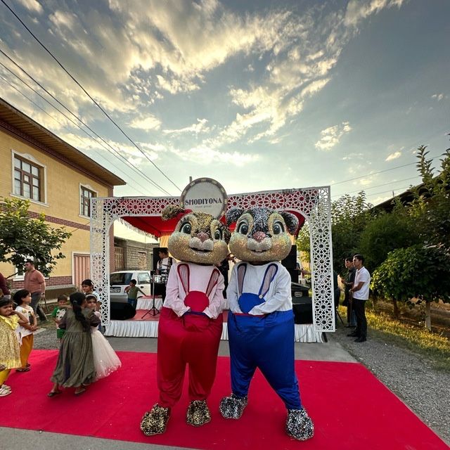 Ayiqlar|айиклар|oformlenya