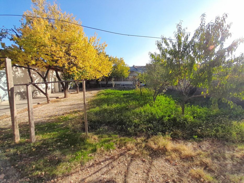 Уй Назарбек туркистонда 8 сотихдан 2 Уй