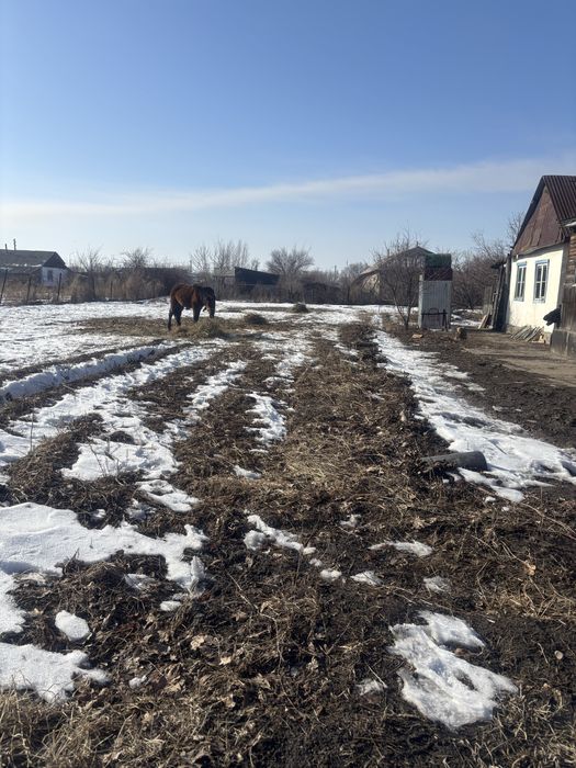 Уй сатылады 16 соток