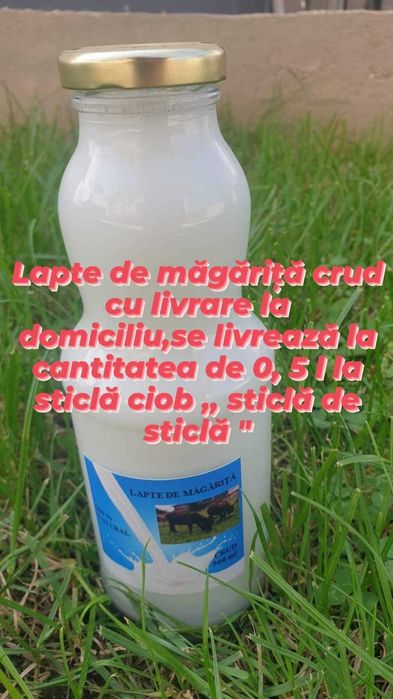 Lapte de măgăriță