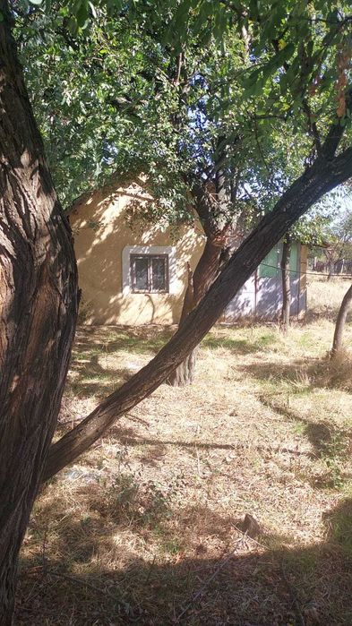 Proprietar, vând casă în com Redea,Olt