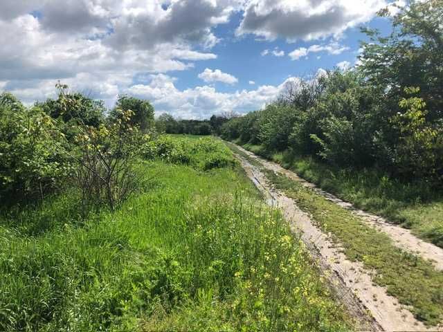 Teren arabil agricol Zamfira langa Ploiesti 7.300 mp cu 18.500,- Euro