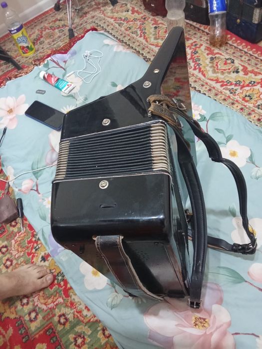 Аккордеон 24 клавиш