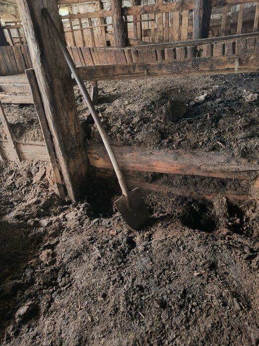 Gunoi grajd,pământ negru, humus