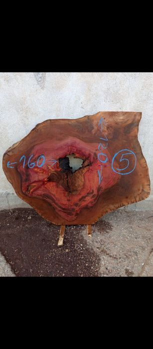 Шайби ф120-160см от чинар за заливане със смола за трапезна маса.