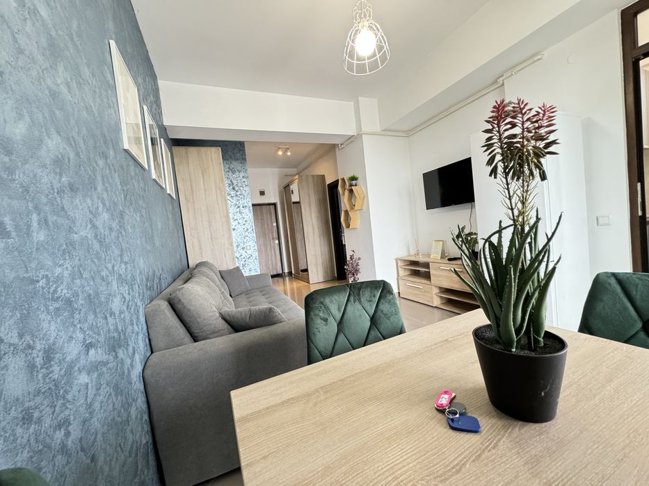 IS Vouchere! Cazare Regim Hotelier Iasi Ap Noi 1-2-3 Cam Central Palas