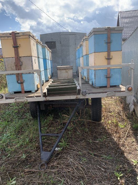 Пчелопасика с ульями