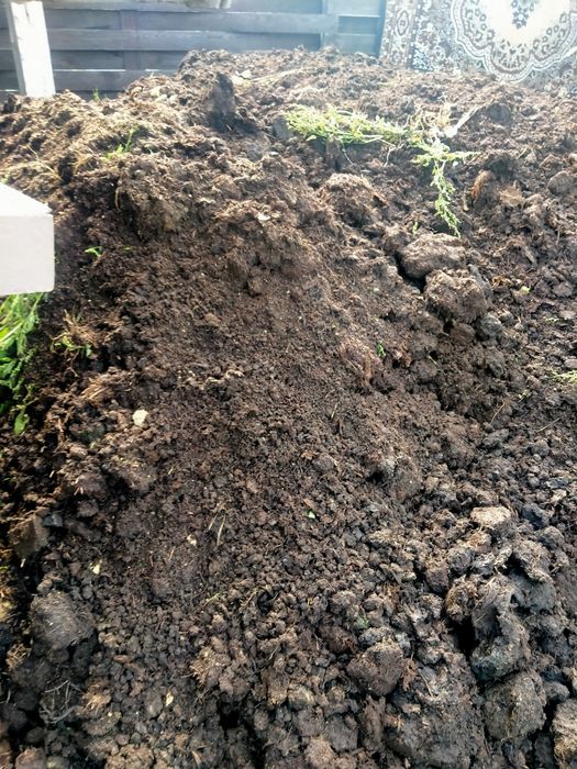 Продам перегной .