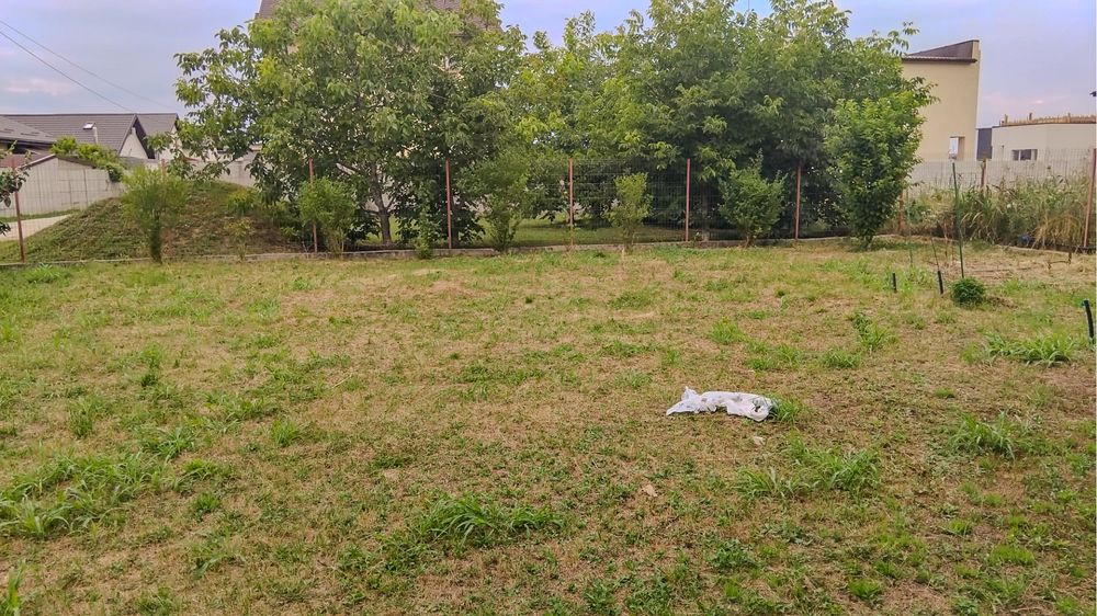 Comuna Berceni - 500 mp teren intravilan, împrejmuit, gaz si curent la poarta