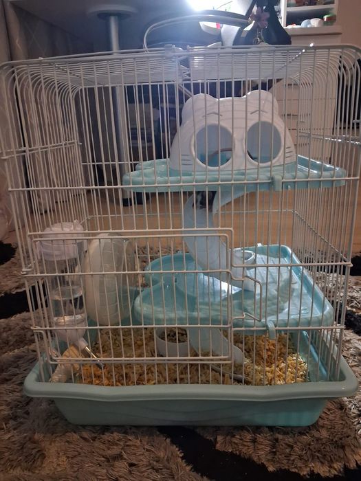 Мышь пятнистая, с клеткой