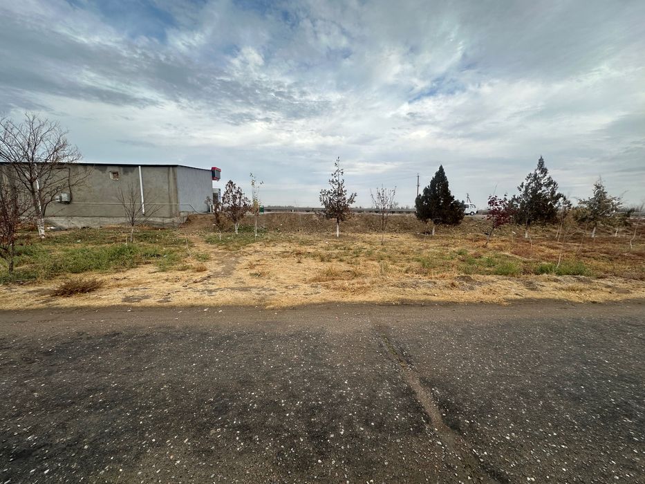 Katej kotej катеж