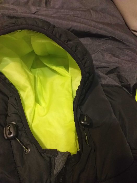 Vesta captusita (Chapter/Takko), XL