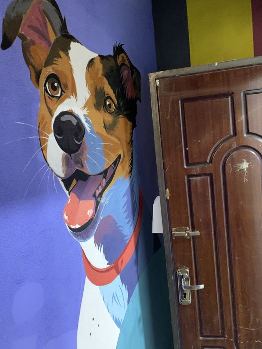 Художник оформитель