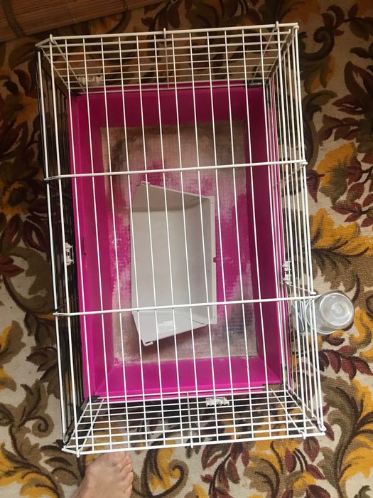 Клетка для мелких грызунов