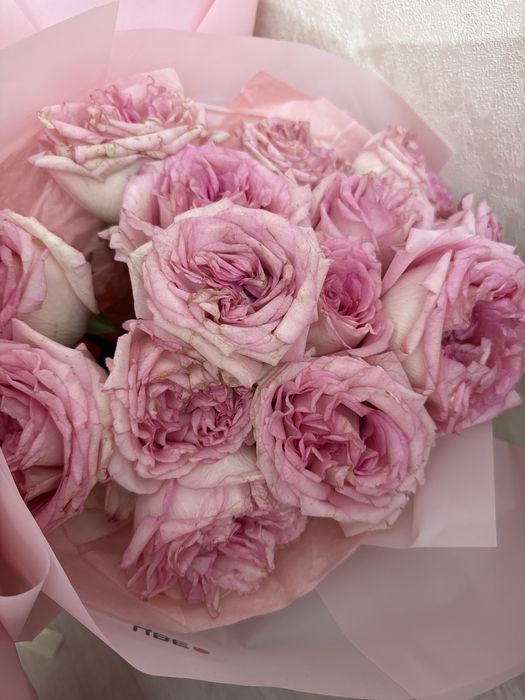 Цветы свежииееее