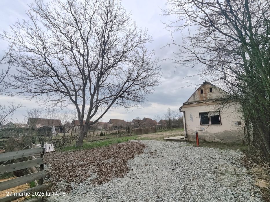 Casa cu livada / Teren intravilan / Sacel - 1350 mp Pozitie centrala