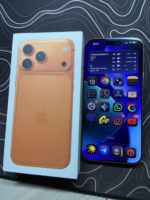 iPhone 17 Pro Max | 256GB | 100%