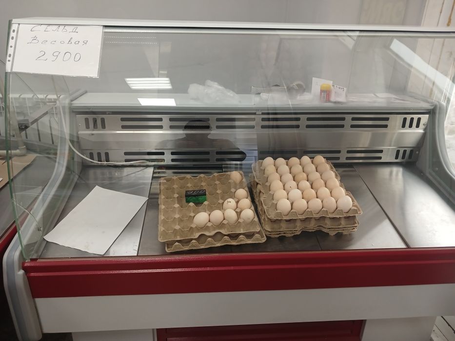 Продам витринный холодильник.