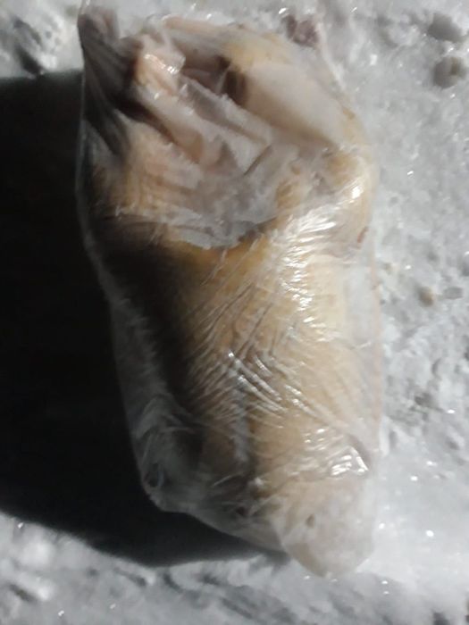 Продаю мясо гуся