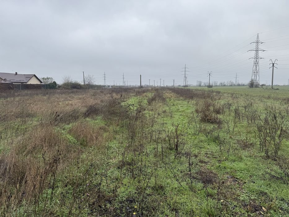 Teren 5000 mp Mihailesti