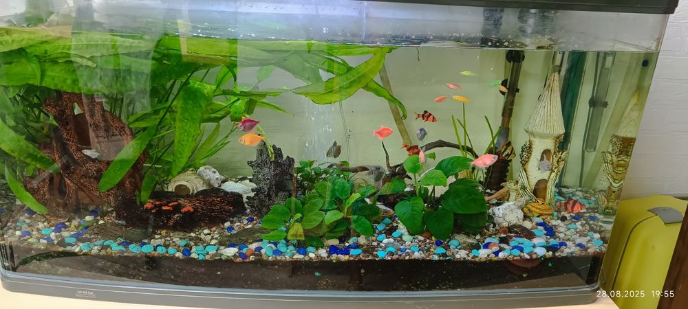 Продам аквариум 200 литров