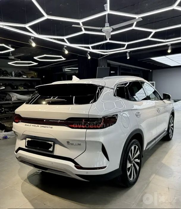 Bvd 2025 yil afisali