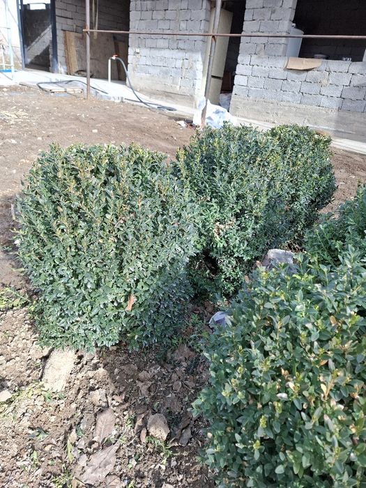 Шамшит сатылады самал 3