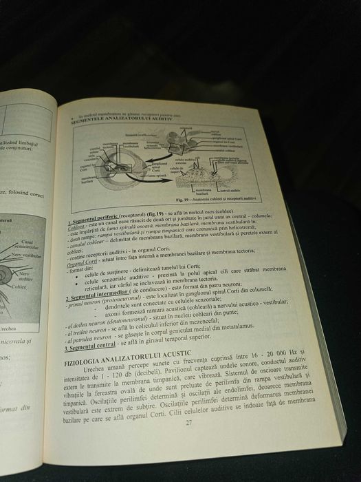 Biologie Bacalaureat clasele XI-XII – ghid complet, sinteze și teste
