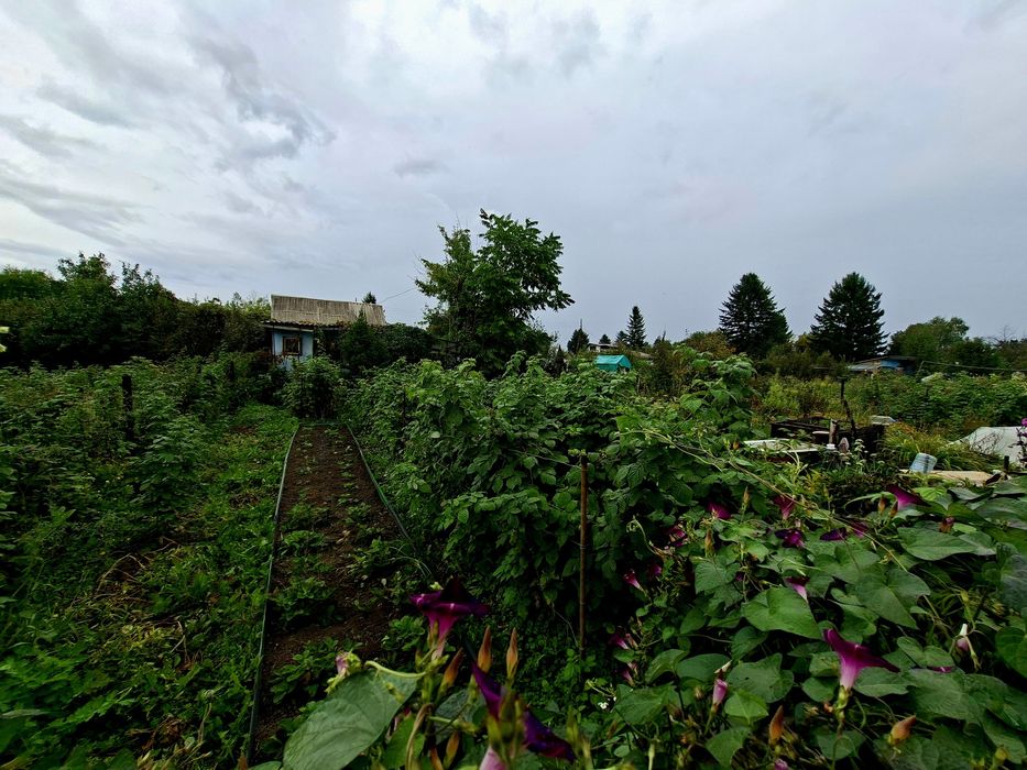 Продаётся дача в районе аэропорта