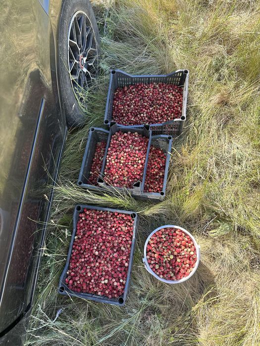 Продам дом в рацоне карьера