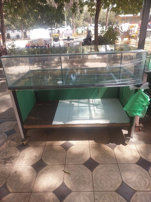 Vitrina stollar mustahkam