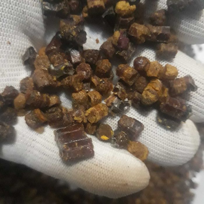 Păstură cruda / uscata, polen crud /uscat, atat en-gros si en-detail