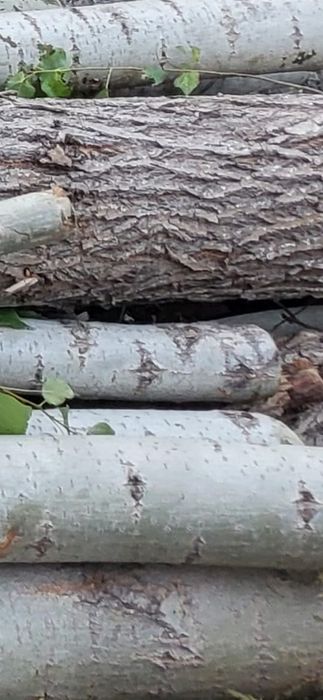 Продам дрова топлива для шашлык Сарай ішінде тұр сухой агаш топлива