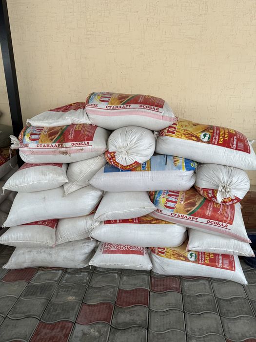 Арпа ұрық ячмень семена