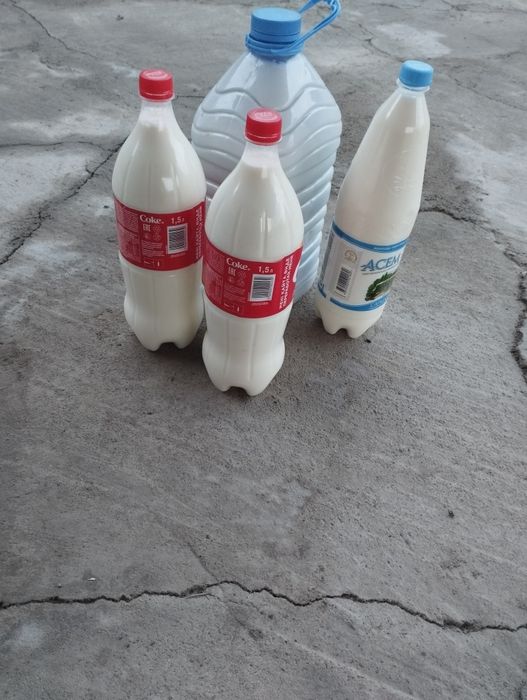 Продаем домашние молоко