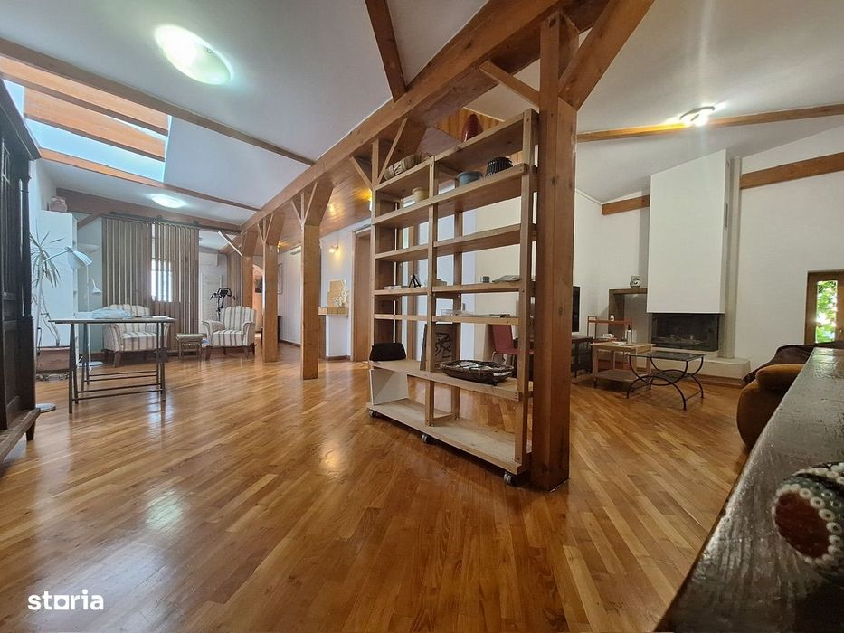 Rare Artist's Loft and Studio/ Atelier open space