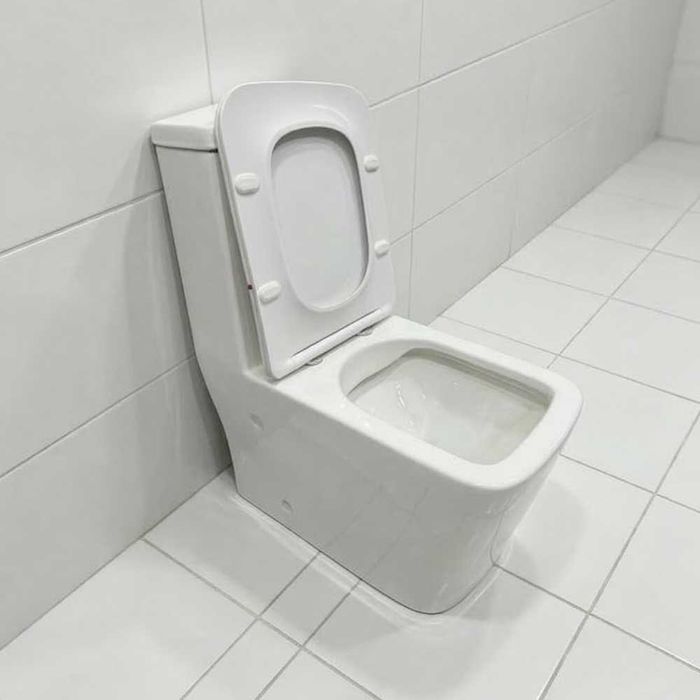 Унитаз литой со смывом Rimless Emerich 223