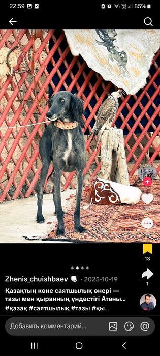 Продам "Седла" для хишных птиц.