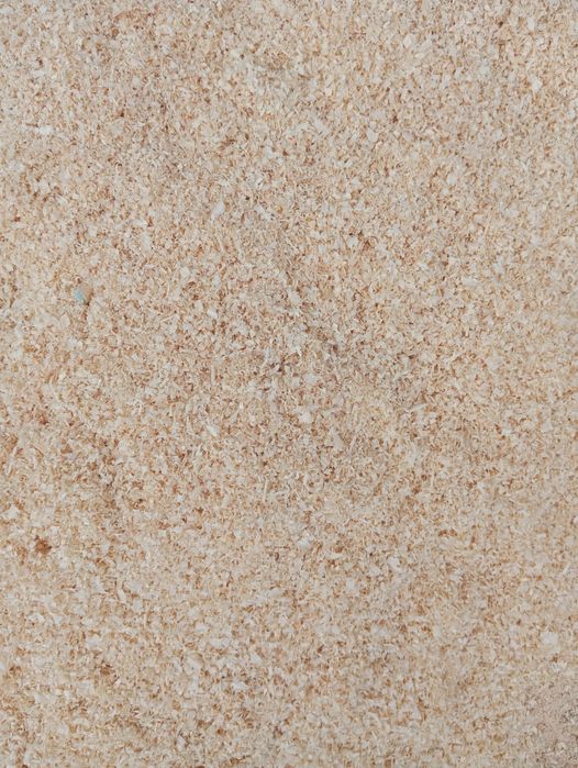 Rășinoase de brad și molid