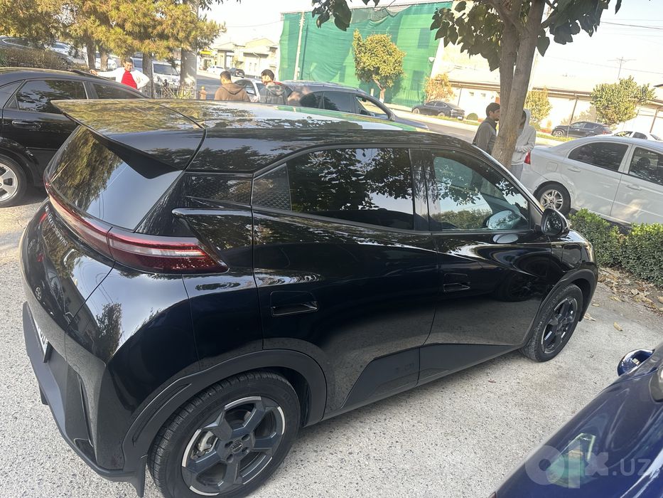 BYD seagul 2024 yil
