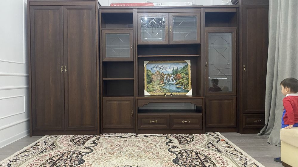 Гарнитура для зала, гостинной