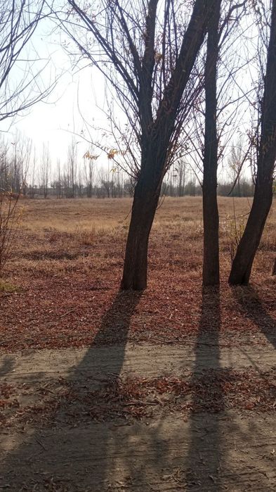 Ер сотилади Челак Шахар Янгиробод кишлогии