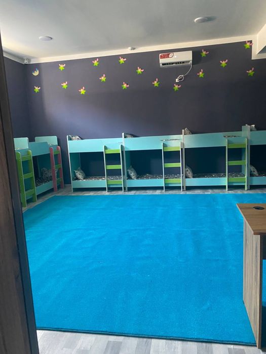 Ковролин_ковролан для дома и офис