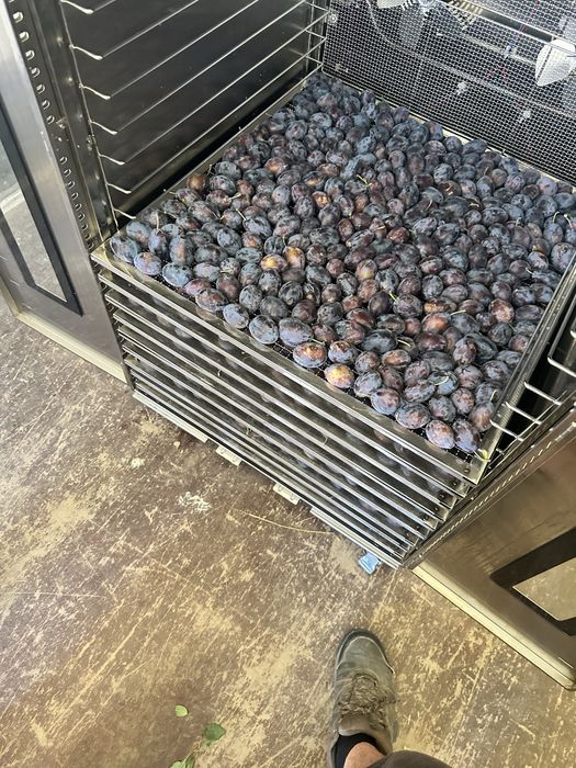 Deshidrator fructe profesional / deshidrator plate