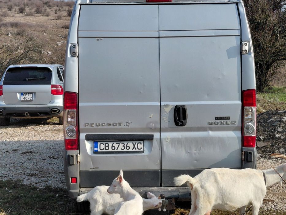 Пежо Боксер/Peugeot Boxer