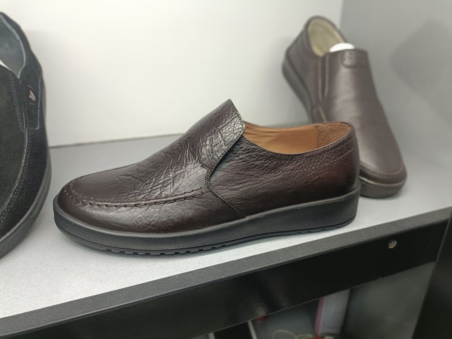 Саламандер качество проверено